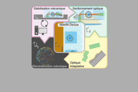 soSMARt : Sonder le vivant à l’échelle nanométrique en profondeur