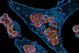 Bordeaux Summer School – Philosophy in biology and medicine