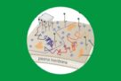 Corradi et al. in Nano Letters